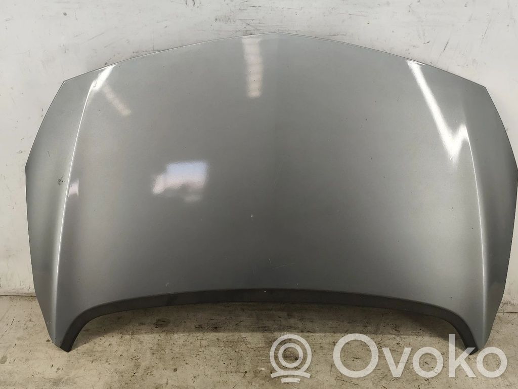 Motorhaube