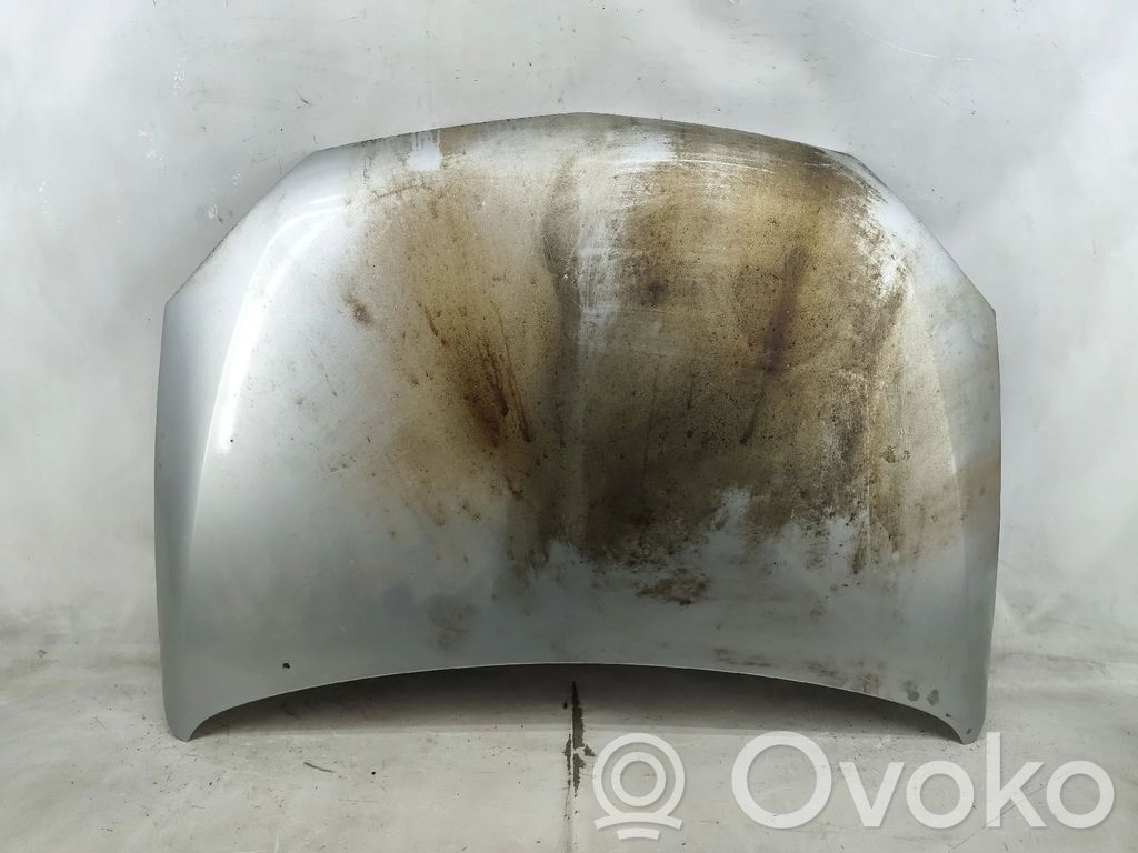 Engine bonnet/hood   NV,DANONATINTA