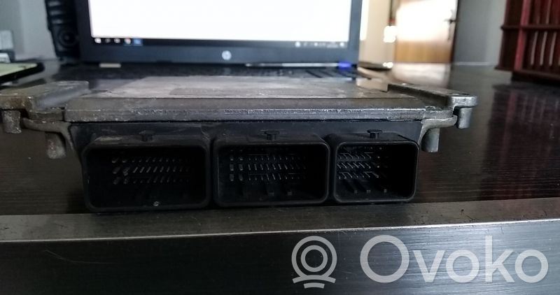 Engine control unit/module   0281011571,031219,8200309318