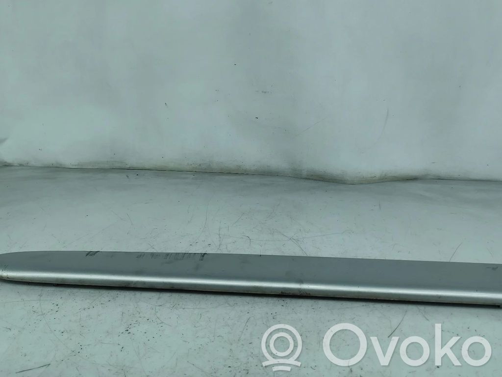 Citroen Xsara Picasso Rivestimento della portiera anteriore (modanatura) 