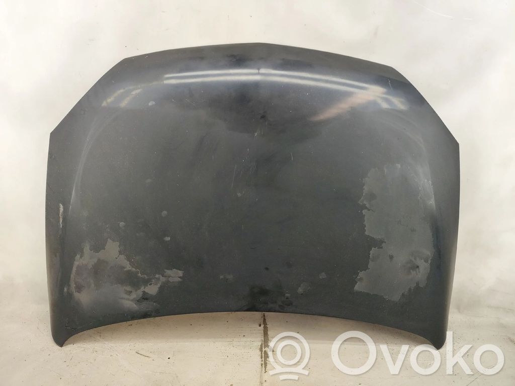 Motorhaube   NV,TINTADESCASCAR