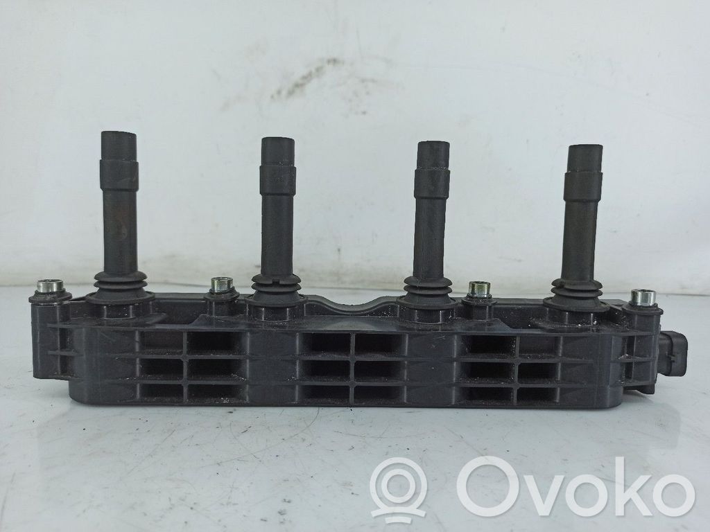 Zündspule Zündmodul   NV,6PINOS