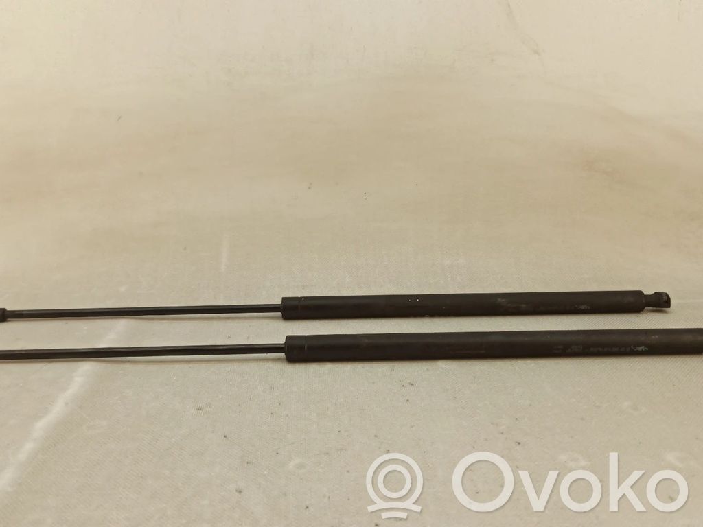 Tailgate/trunk strut/damper   9639168380