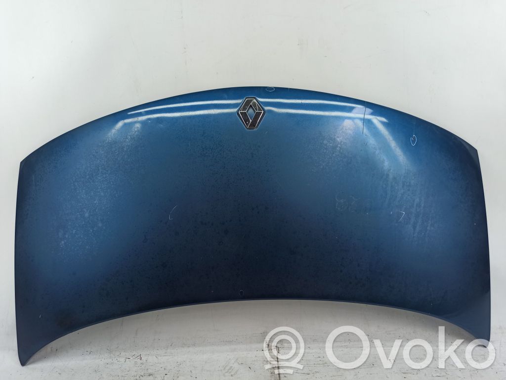 Engine bonnet/hood   ALGUNSRISCOS,PEQUENO,PODRE