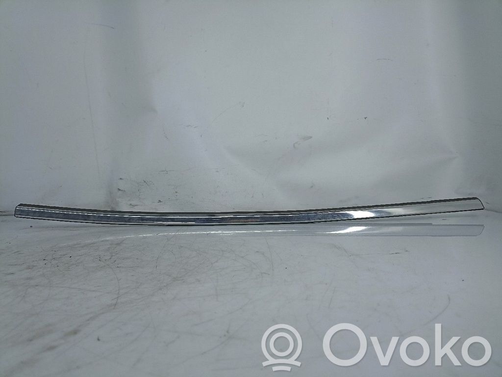 Front door trim (molding)   TRAS,DRT,RASPADOR