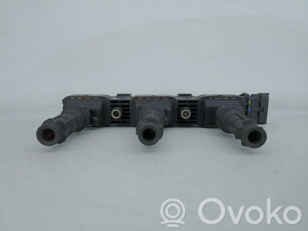 High voltage ignition coil   U6007,5PINOS,NV