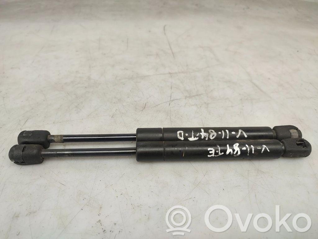 Tailgate/trunk strut/damper