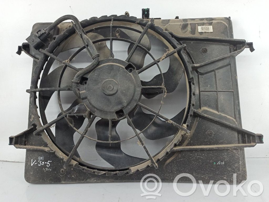 Elektrinis radiatorių ventiliatorius   253041H001