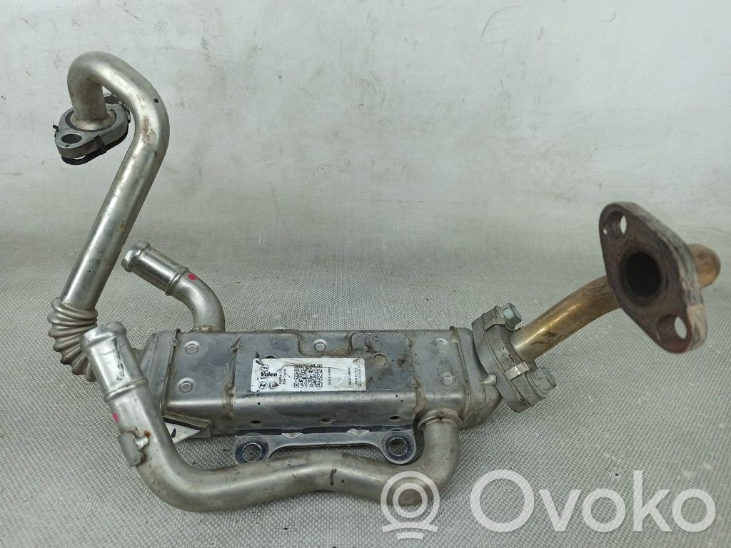 EGR-venttiili/lauhdutin   2841004900