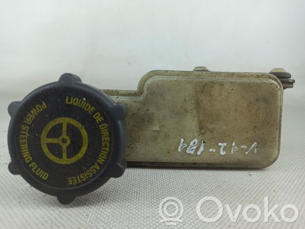 Ford Transit Serbatoio/vaschetta del liquido del servosterzo 