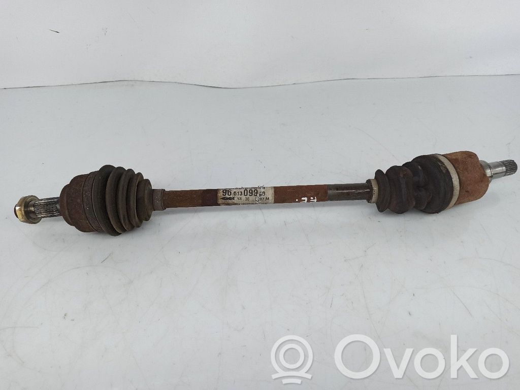 Planetară față   9651309980