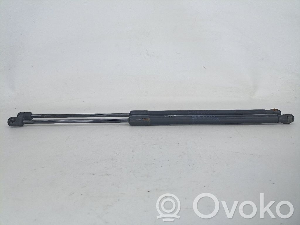 Tailgate/trunk strut/damper   51247127875