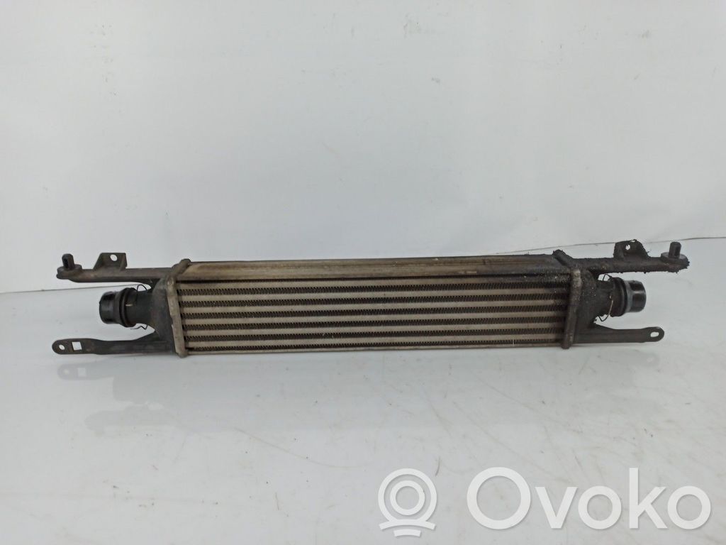 Intercooler radiator
