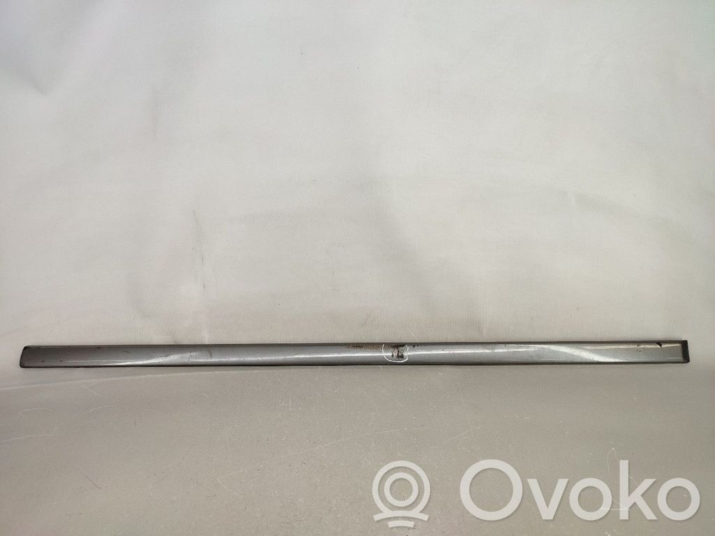 BMW 5 E39 Front door trim (molding) 