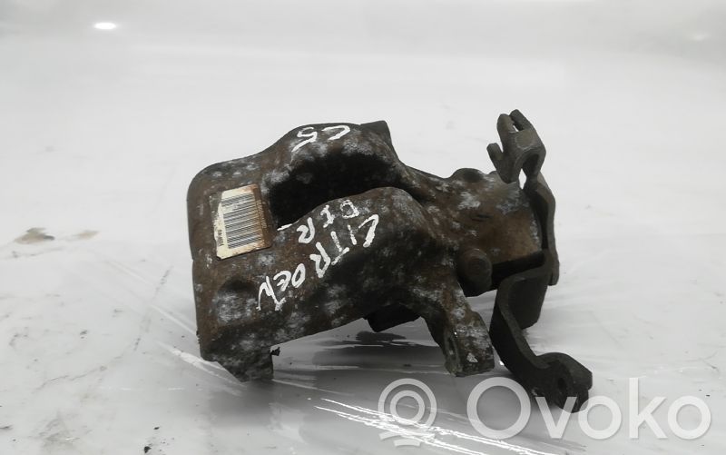 Takajarrusatula   9686800780