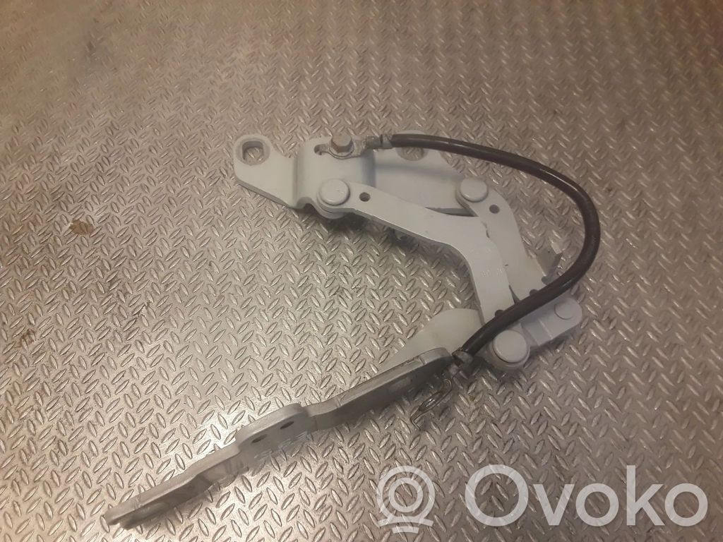 Scharnier Motorhaube   7115263