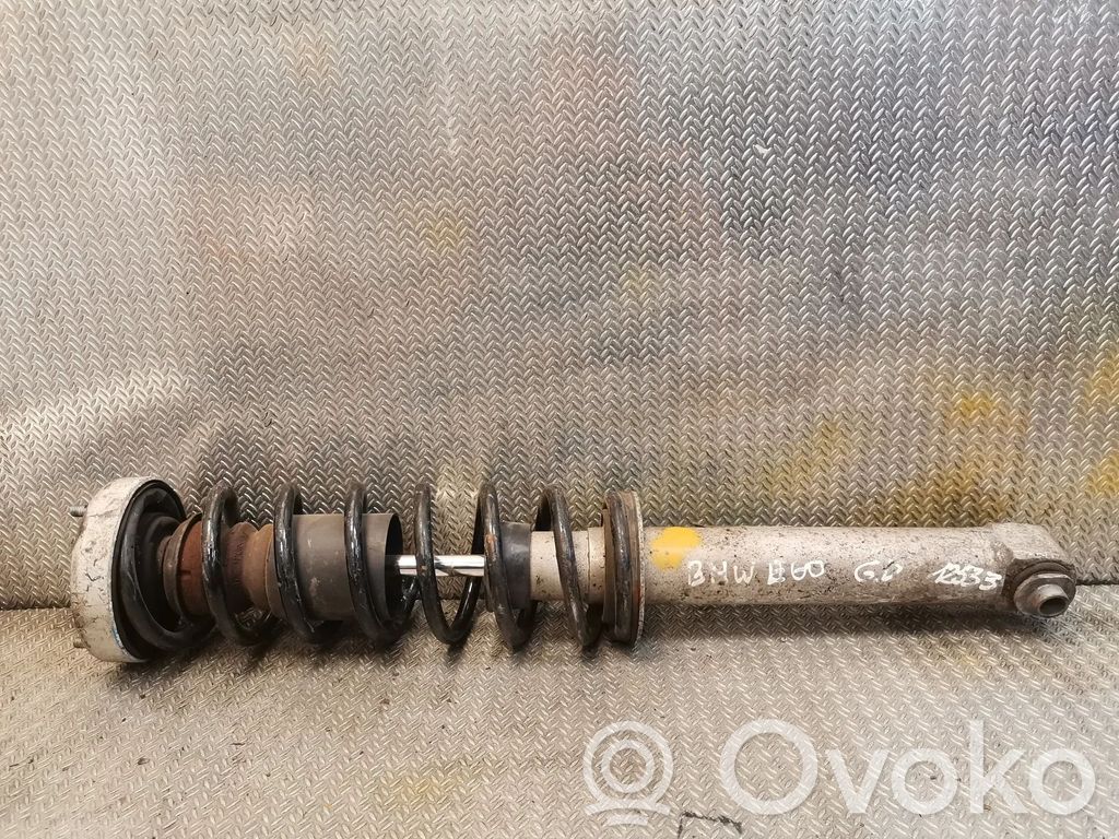 Stoßdämpfer hinten   6766605