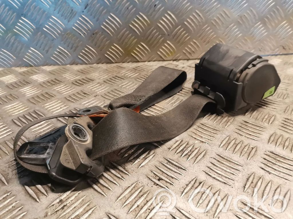Cinturón delantero   8217390