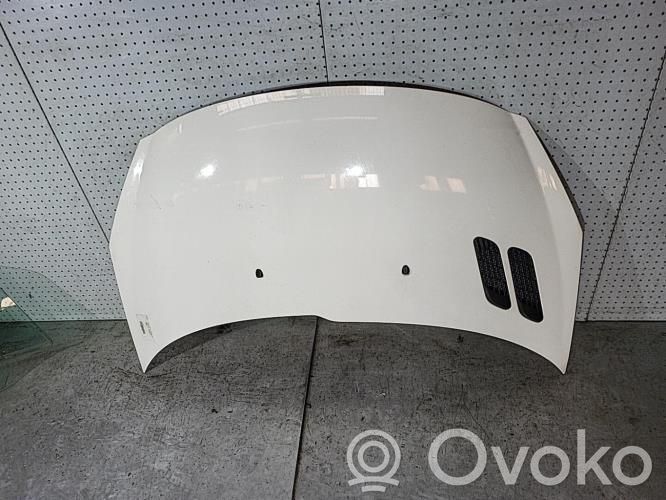 Motorhaube   7901R5