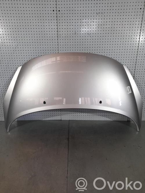 Motorhaube   7901N2