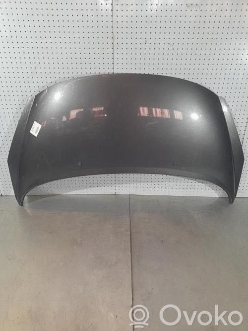 Motorhaube   7901N2