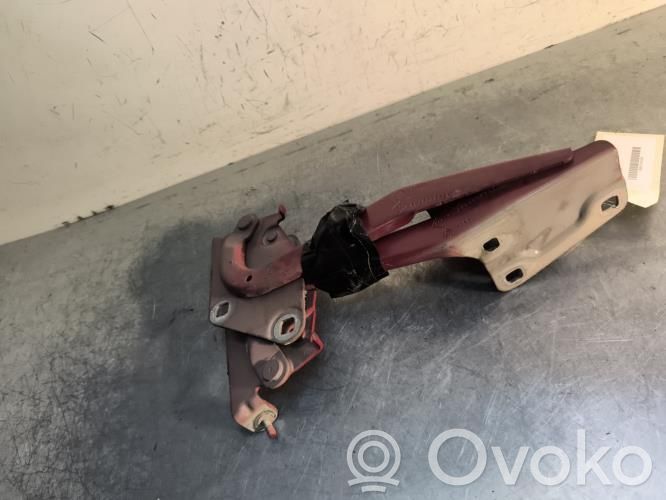 Renault Megane III Balamale capotă 