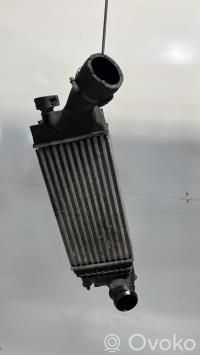 Interkūlerio radiatorius   00000384K8