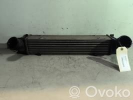 Chłodnica powietrza doładowującego / Intercooler   17517524916