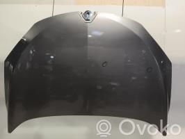 Motorhaube   651009018R