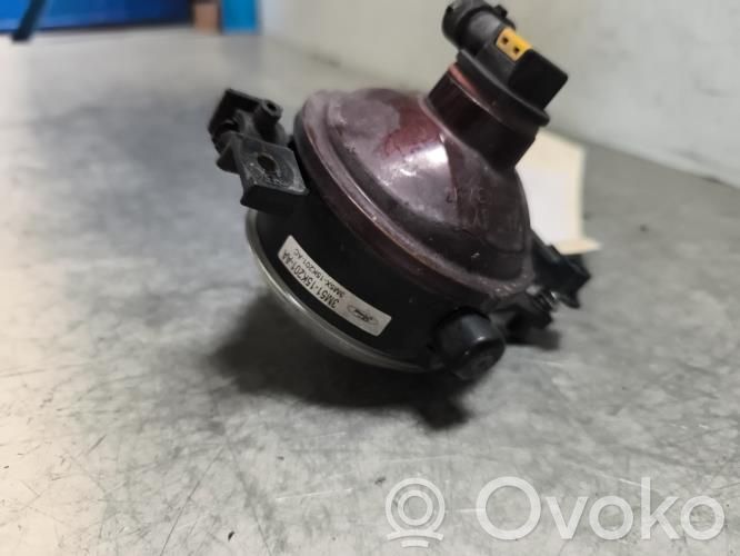 Front fog light   1481005