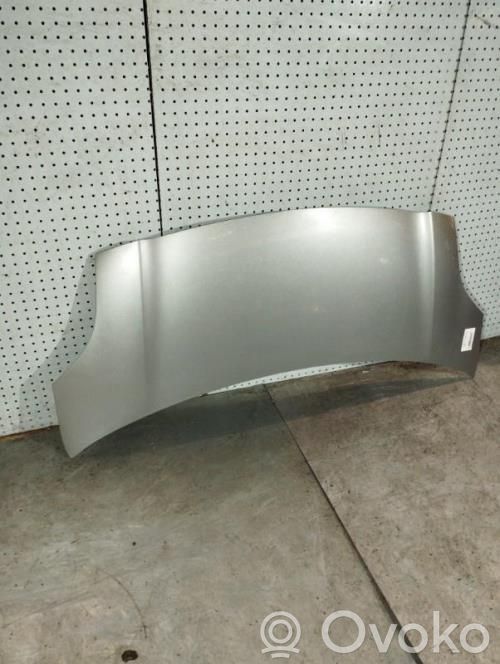 Motorhaube   533010D080