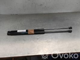Ford Focus Amortiguador/puntal del maletero/compartimento de carga