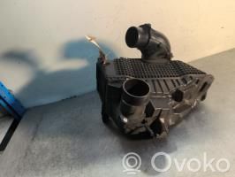 Renault Captur Scatola del filtro dell’aria