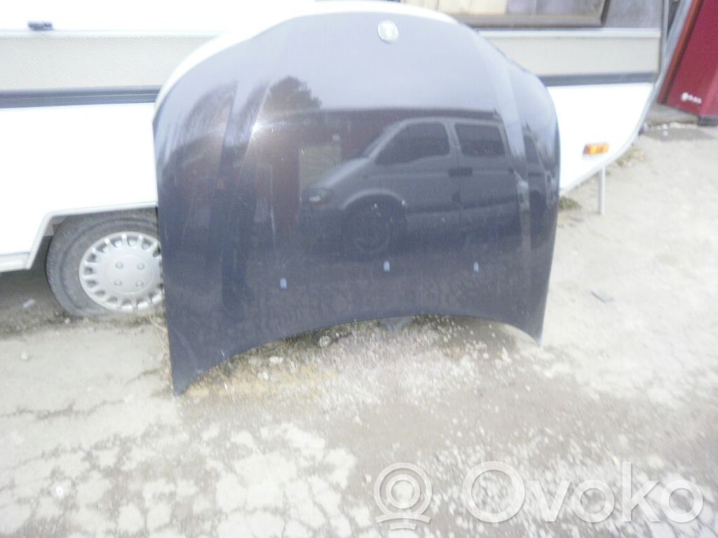 Dzinēja pārsegs (vāks)