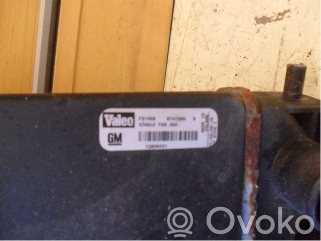 Elektrinis radiatorių ventiliatorius   874769D
