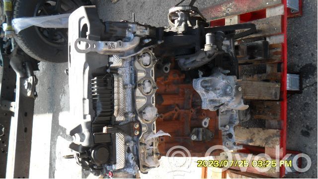 Motor   YN2X