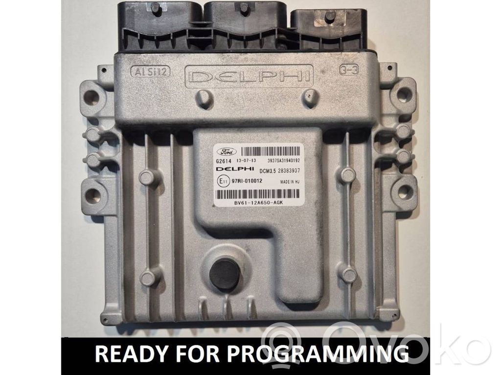 Ford Focus Engine control unit/module 