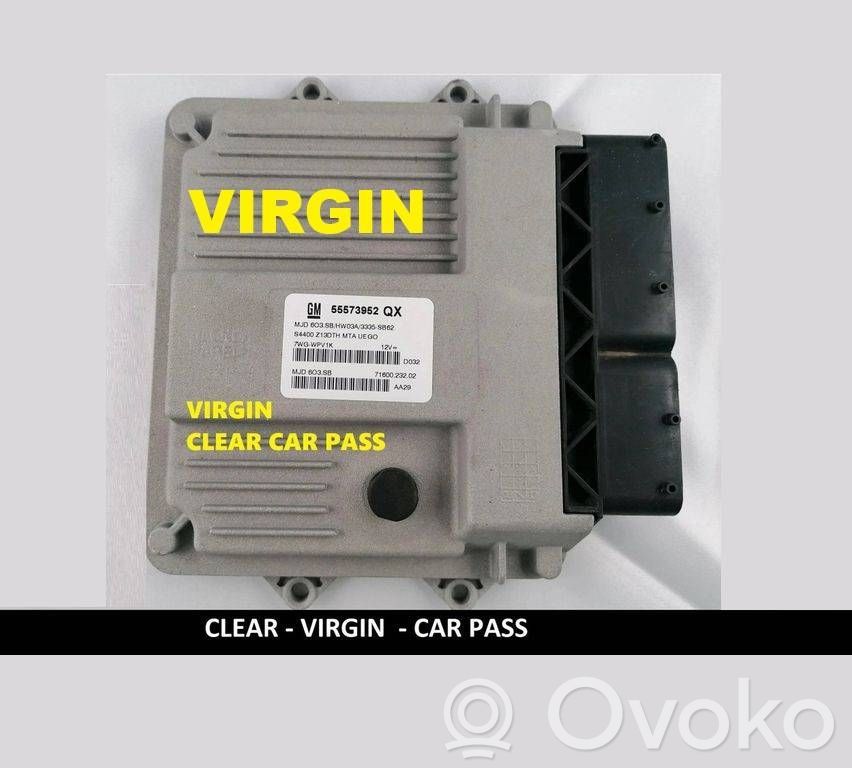 Engine control unit/module   55573952,55573952QX