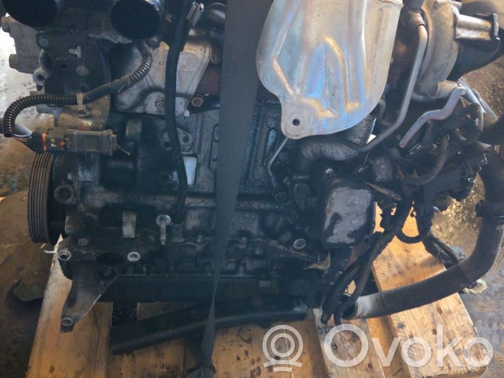 Motor   0135SW