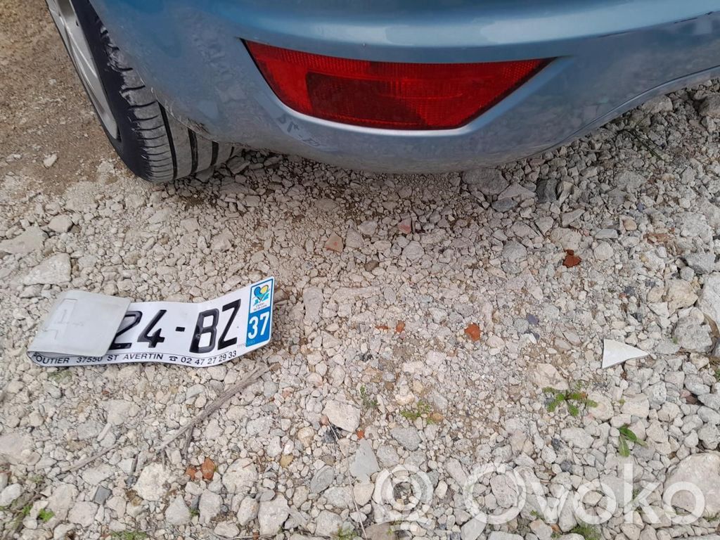 Ford Focus Rear fog light 