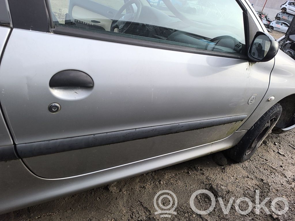 Peugeot 206 Puerta delantera 