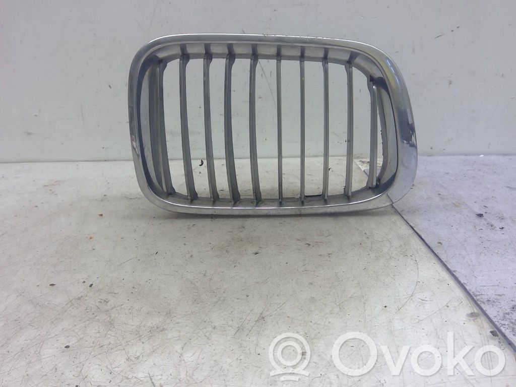 BMW 3 E46 Oberes Gitter vorne 