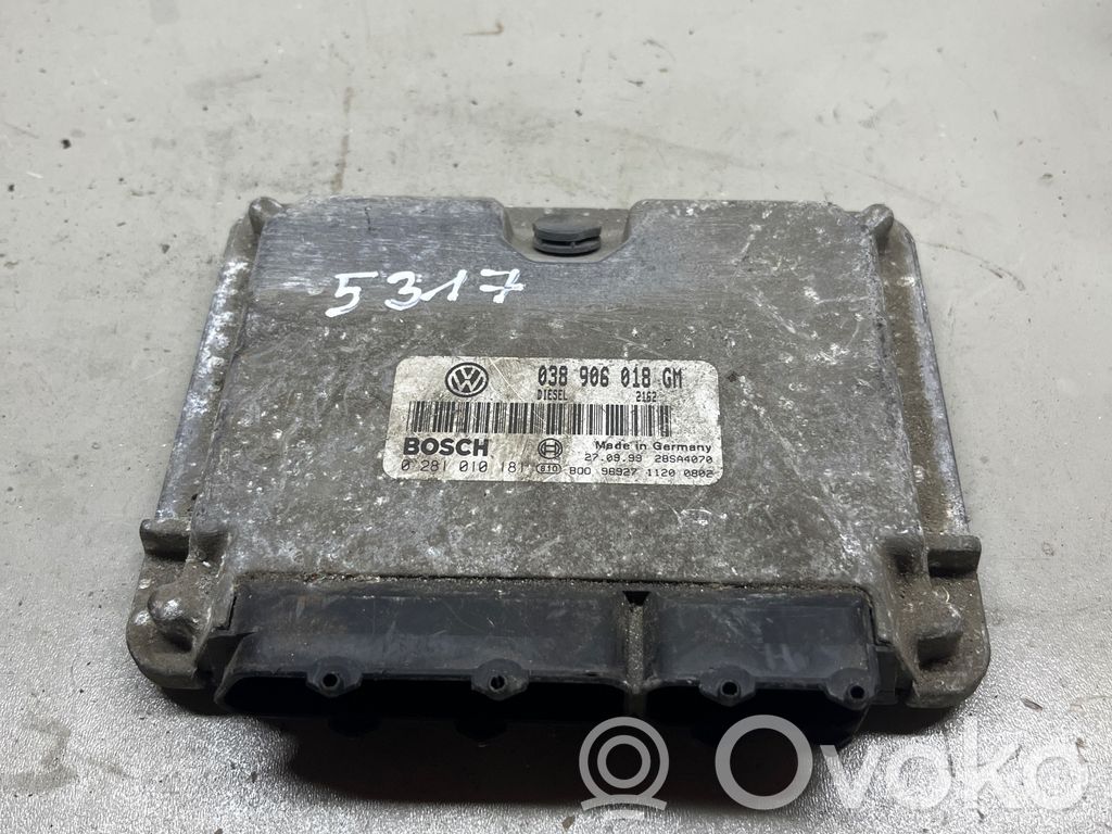 Engine control unit/module   038906018GM,0281010181