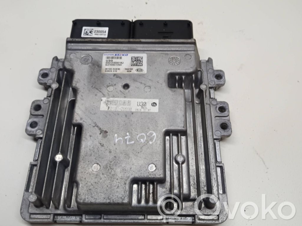 KIA Sportage Engine control unit/module 