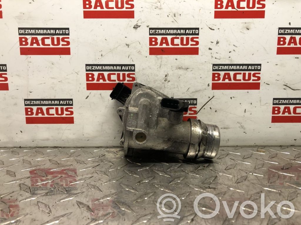 Renault Captur Kuristusventtiili 