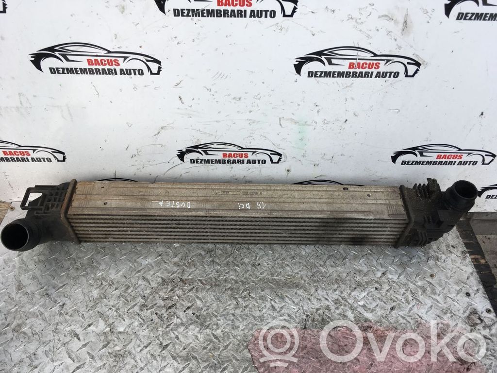 Intercooler radiator   8200880552