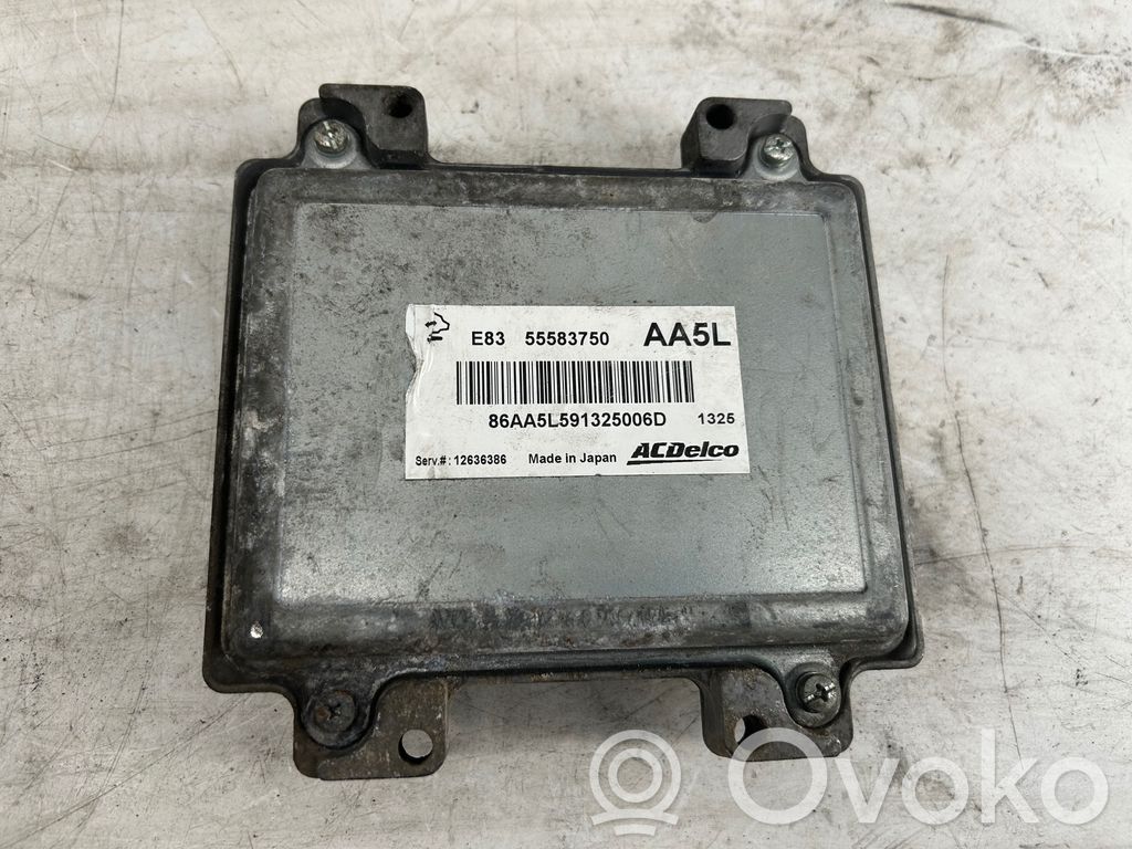 Engine control unit/module   12636386,55583750