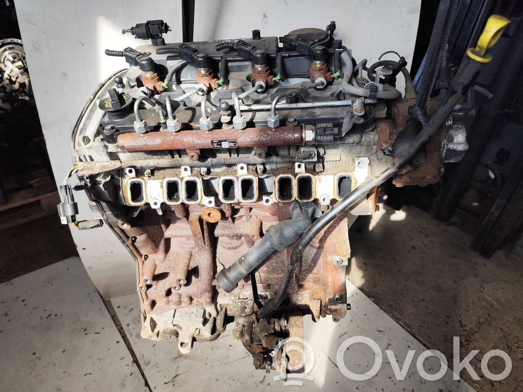 Engine   CYFB