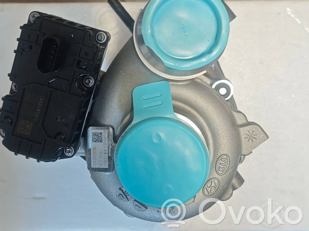 Turboahdin   282312F910