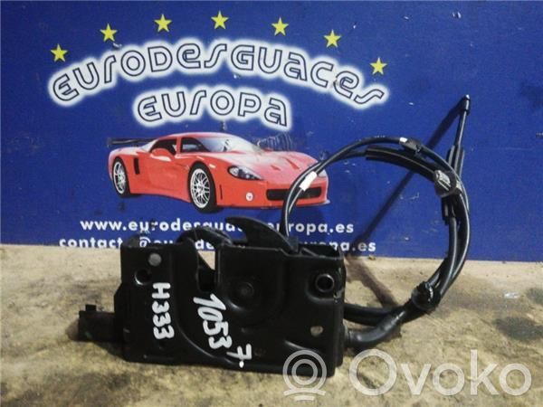 Ford Focus Tie down hook / loop 